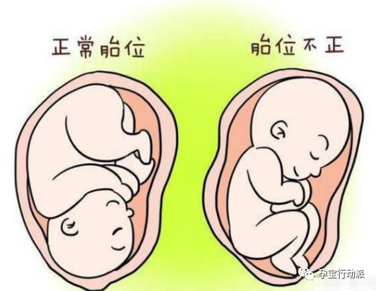 孕期周刊,第三十四周