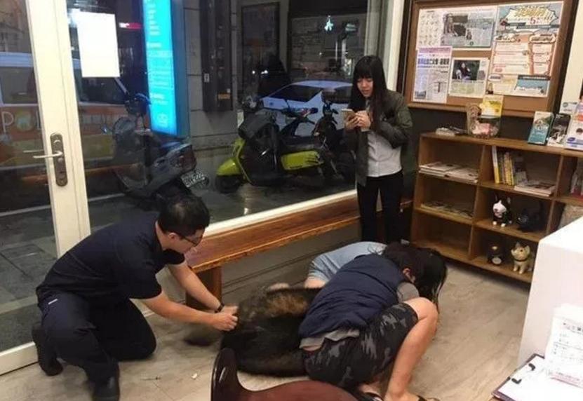 带狗狗打针回来很狂躁,带着狗子去打针