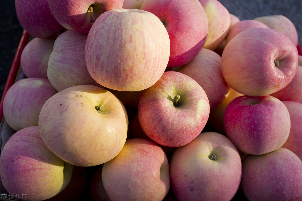 2023年苹果值得买吗,2021年苹果哪几款还值得买