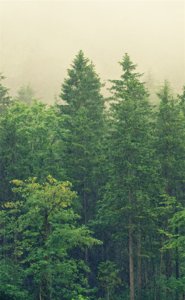 缓解眼睛疲劳壁纸颜色,缓解眼睛疲劳的壁纸高清