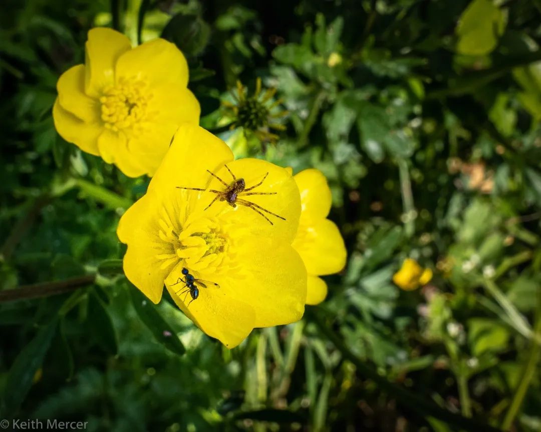徕卡便携相机的lux7,徕卡便携款价格表