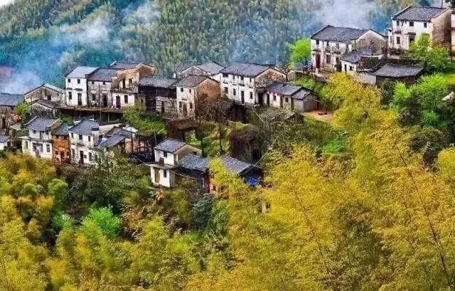 黄山秋景几月去最好,秋天几月份去黄山最好看的花海