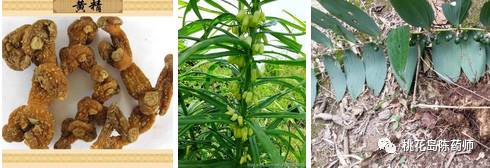 食茱萸中药饮片别名,中药饮片独角牛别名