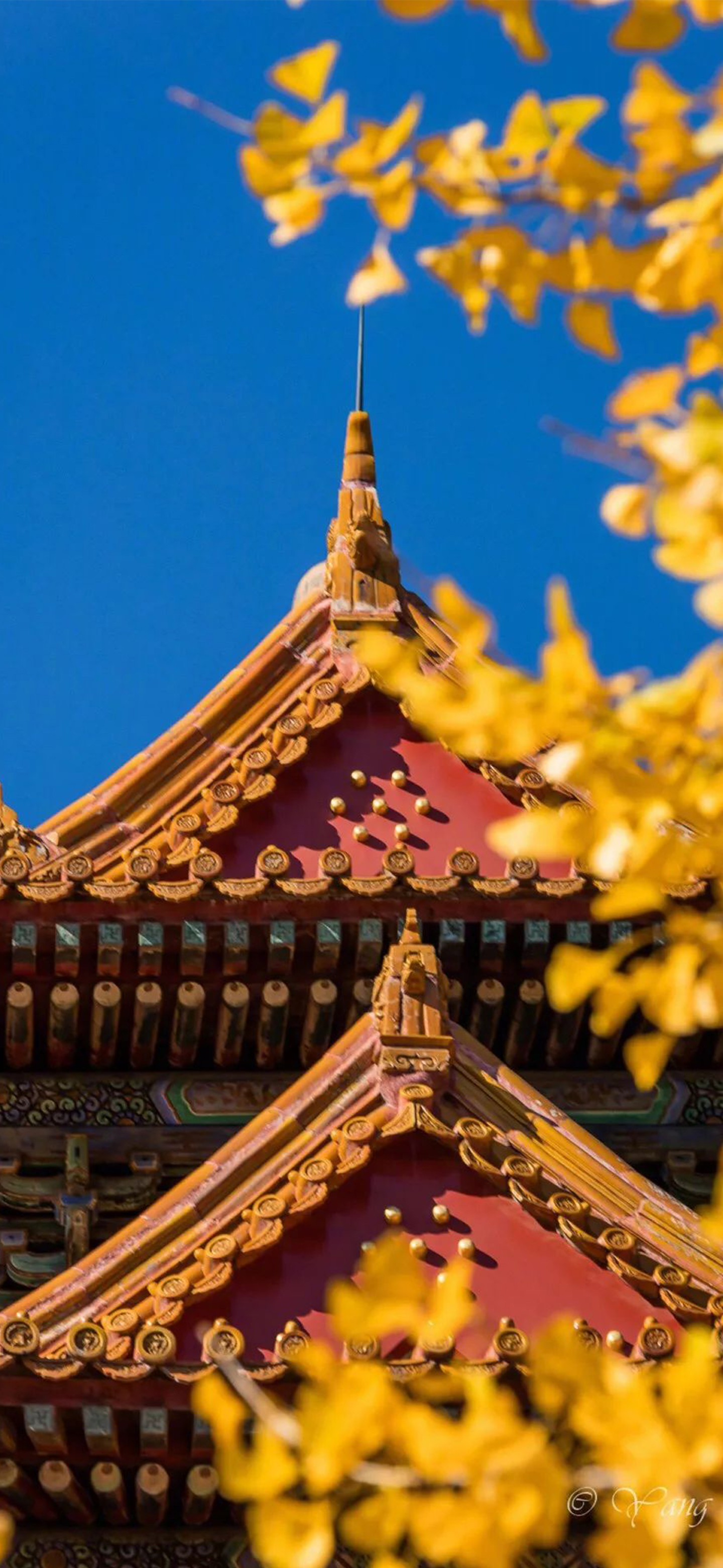 壁纸来了梵高,壁纸来了视频教程