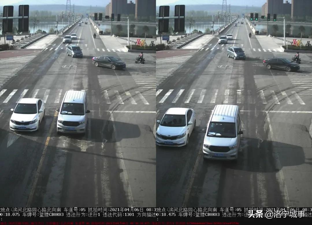 洛宁交警曝光酒驾醉驾典型案例,洛宁县交警违章处理在哪里