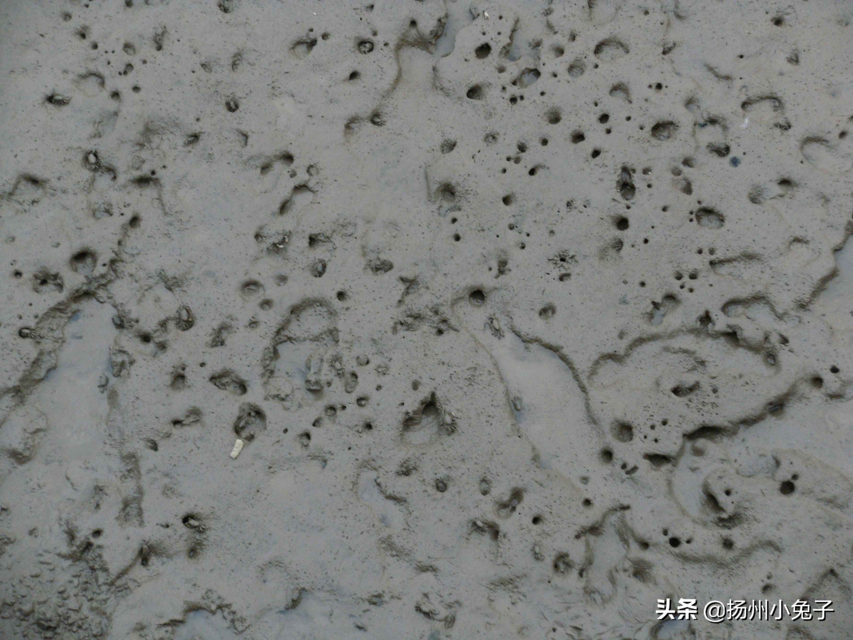 海鲜是鲜,神仙是仙,去吕泗寻鲜还是寻仙?