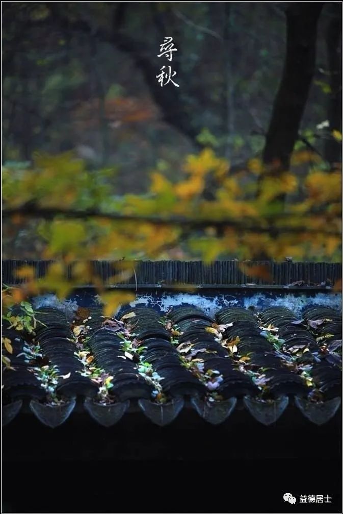 高粱立了秋再出穗还能熟吗,立了秋丢了扇全文的诗意是什么