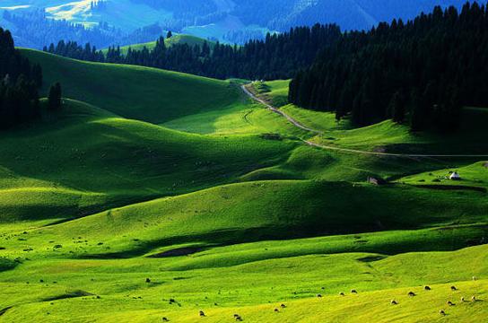 用人之道谋略之道,用人之道简短的句子