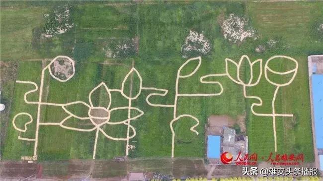 雄安值得一去吗,雄安最值得去的地方