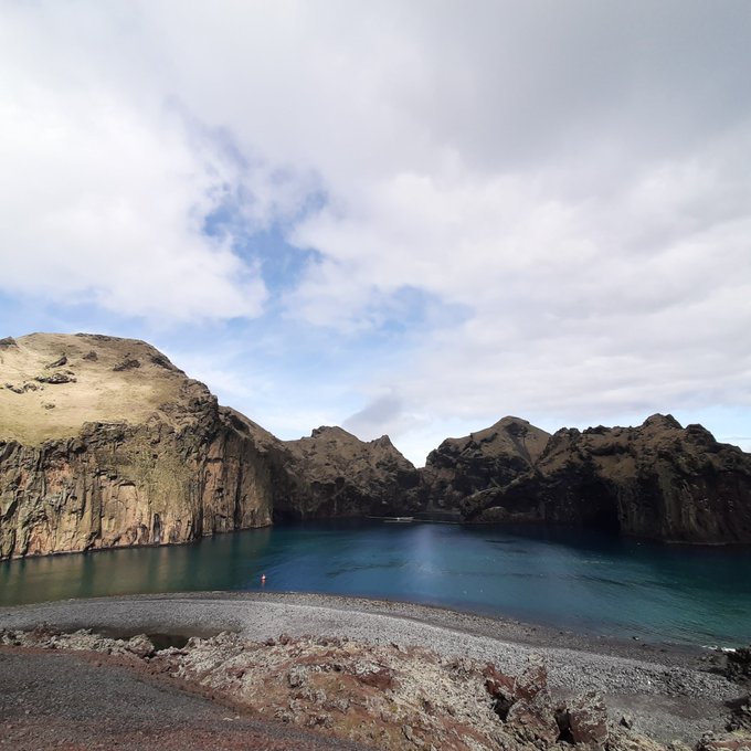 两岁时被抓表演节目数10年，放生计划让白鲸兄妹露出灿烂笑容