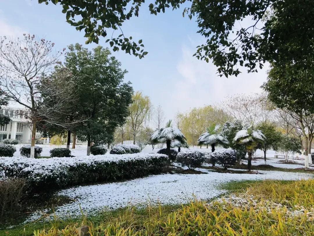 江苏省高校（五十一）南京航空航天大学金城学院