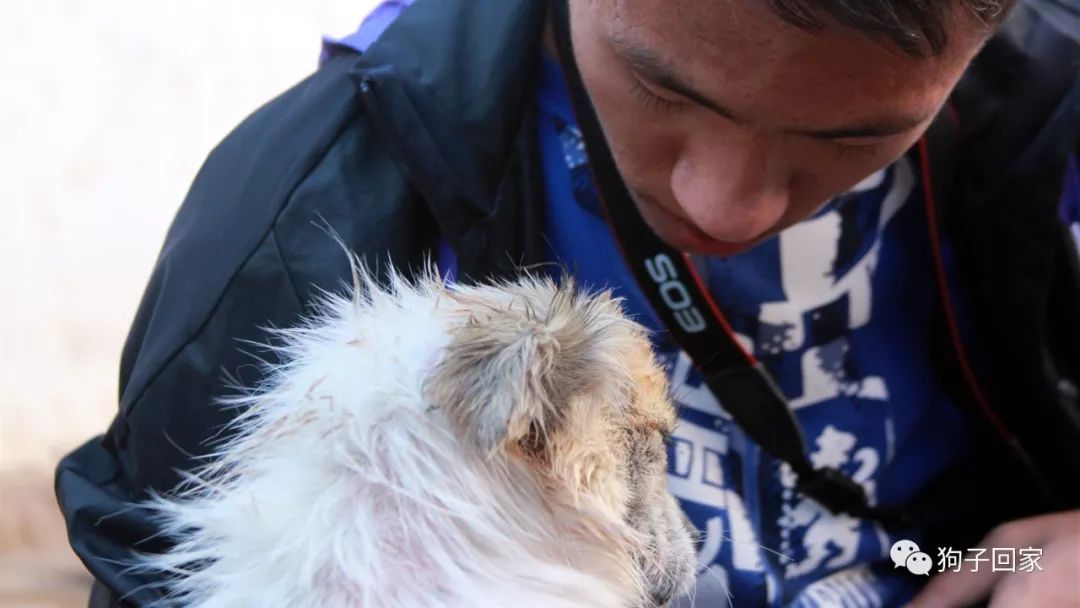 每一个生命都需要被尊重和善待,每一个生命都要被尊重被温暖