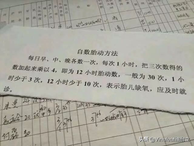 数胎动哪个软件好,孕中期怎么数胎动