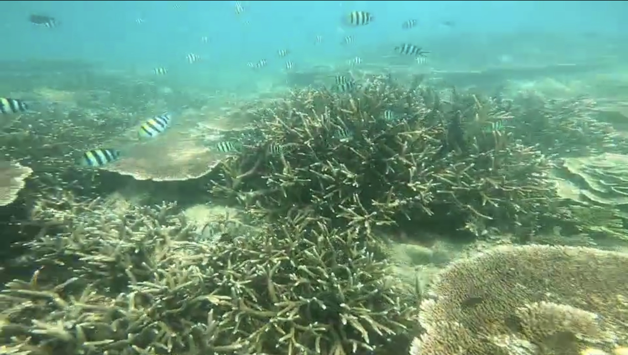 海南十大最好玩的地方三亚,海南最好玩的地方不是三亚是万宁