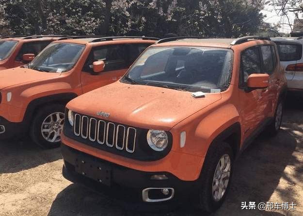 姣忓杞︿紒閮芥湁鎴块棿閲岀殑澶ц薄,姣忓杞︿紒鐨勯珮绔搧鐗岃溅