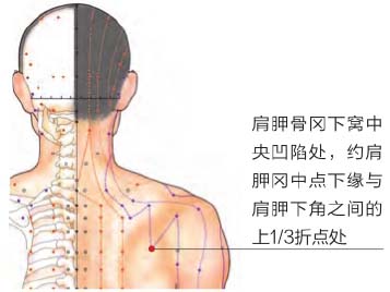 中医背部调理按摩诀窍及三大手法,背部穴位按摩手法和穴位讲解