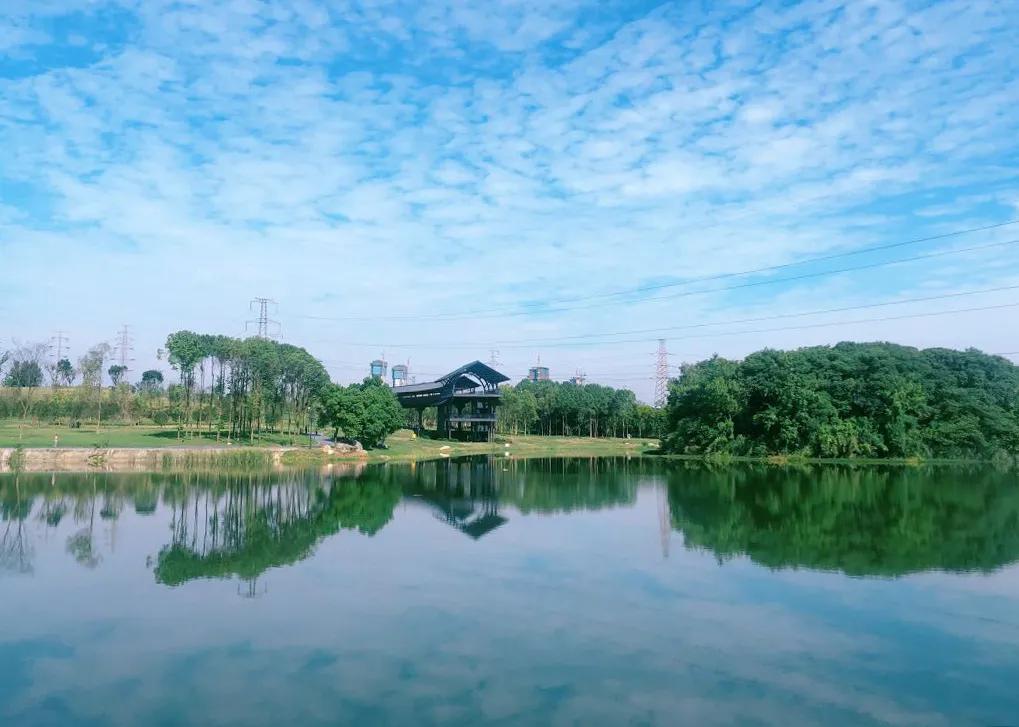 首付49万能买到什么车,首付59万买三居室