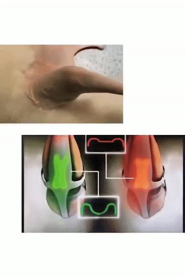 狗狗髌骨病怎么治,狗狗得焦虫病怎么治