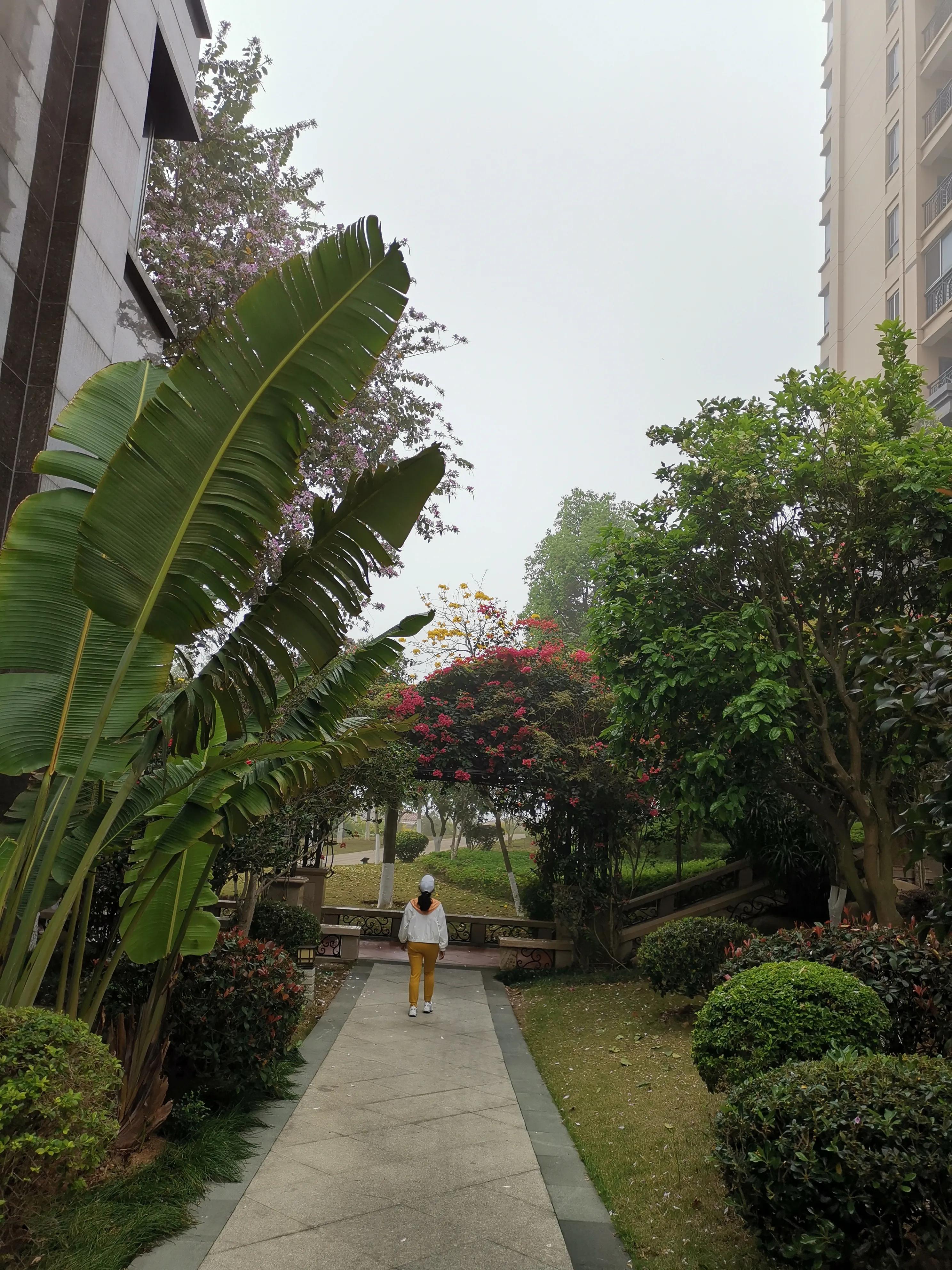 濮戝珎鏃呰璁板綍,濮戝珎鏃呰鏃ヨ