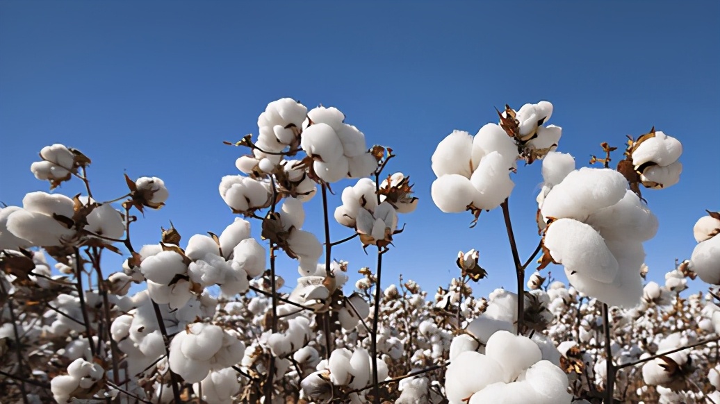 搁浅的货轮、HM的衣服、SWIFT支付体系，蝴蝶效应飞到哪了