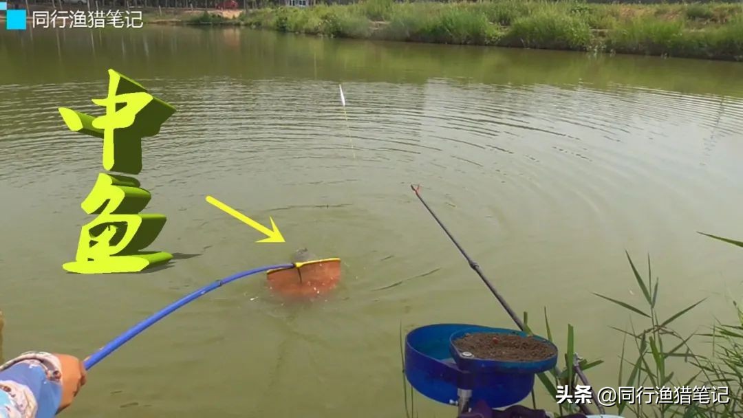 眼前的苟且不一定输给远方的诗——洛庄垂钓之行有感