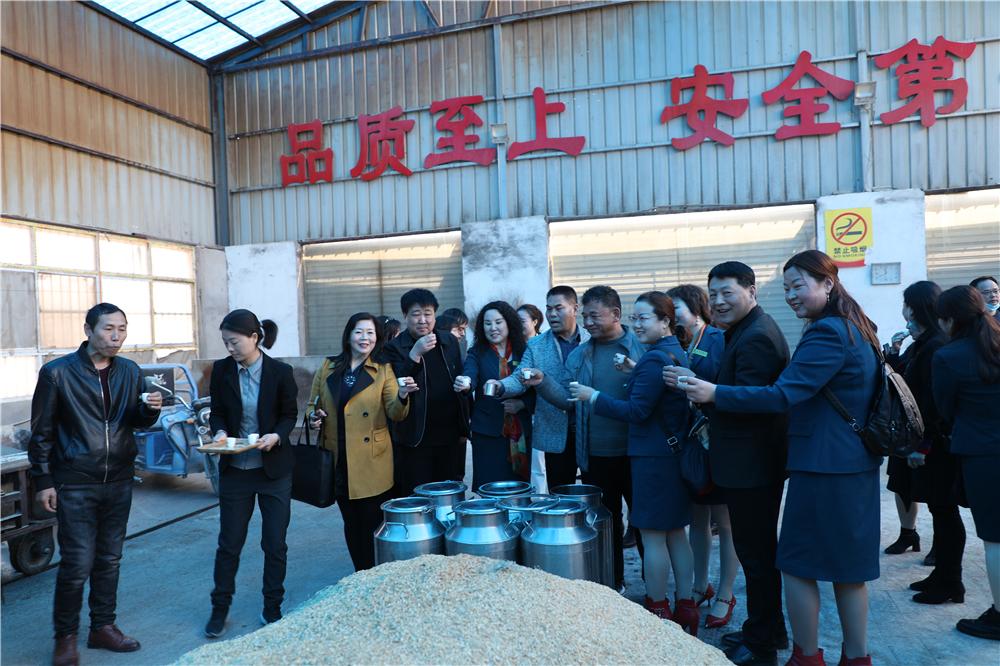 栽下梧桐树引进金凤凰,栽棵梧桐树引来金凤凰