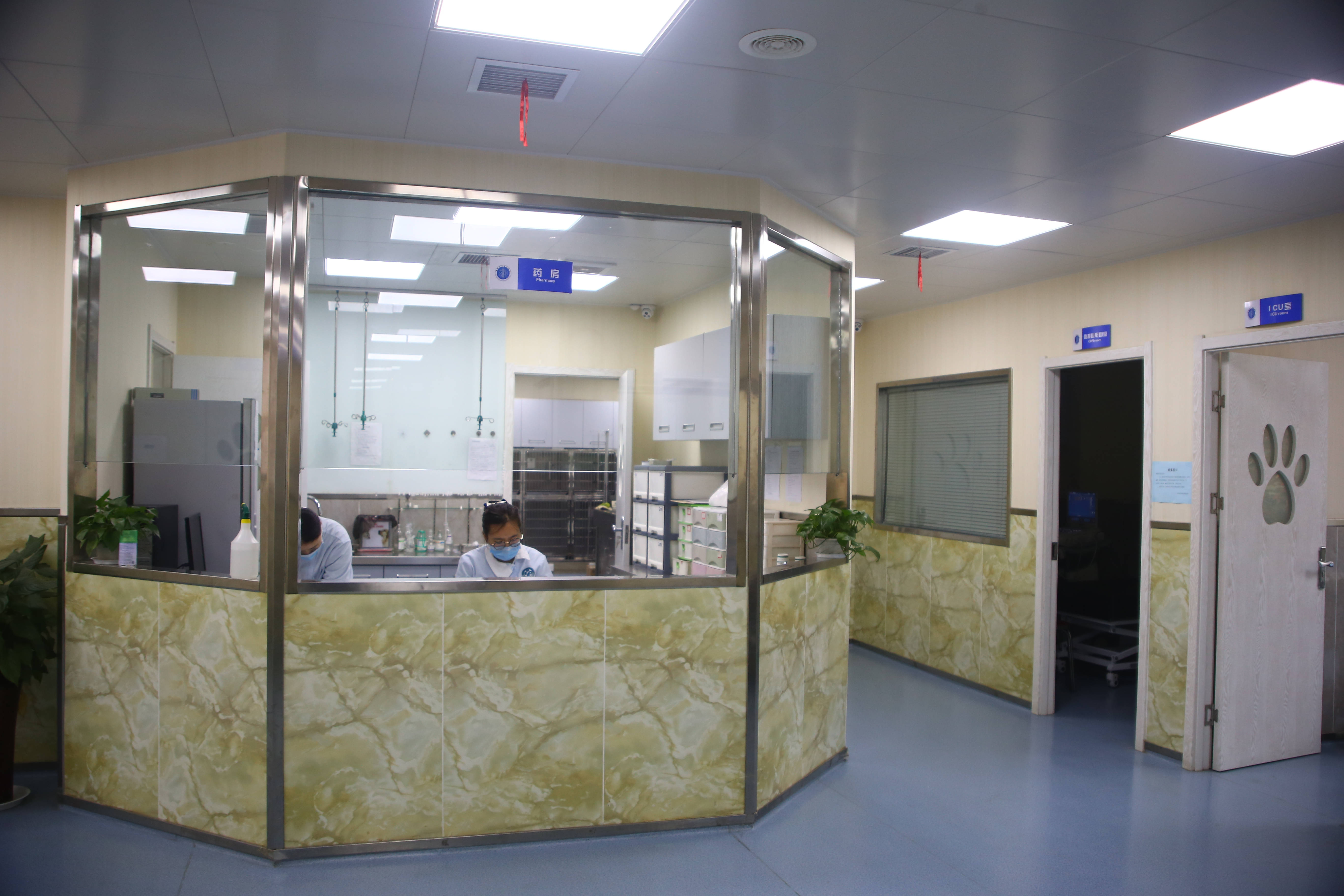 皮肤瘙痒症与因果有关吗,皮肤瘙痒诱发的原因是什么