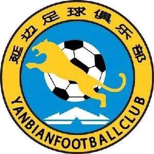 延边足球风云录下载,延边职业足球风云录74