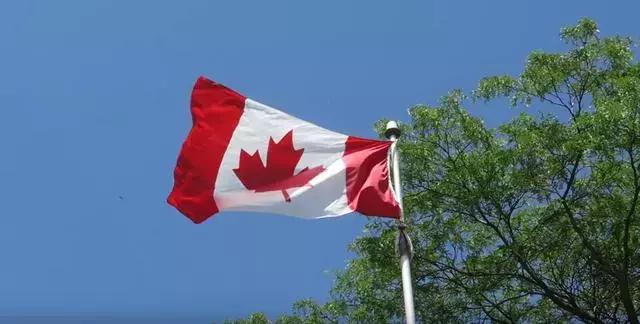 881箱樱桃卖到中国后，加拿大突然迎来坏消息！1651万生意泡汤？