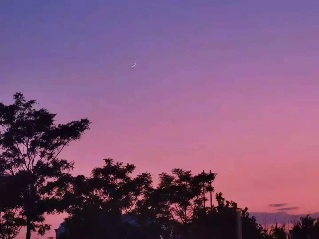 当你觉得人生卡住了,我建议你看看他们