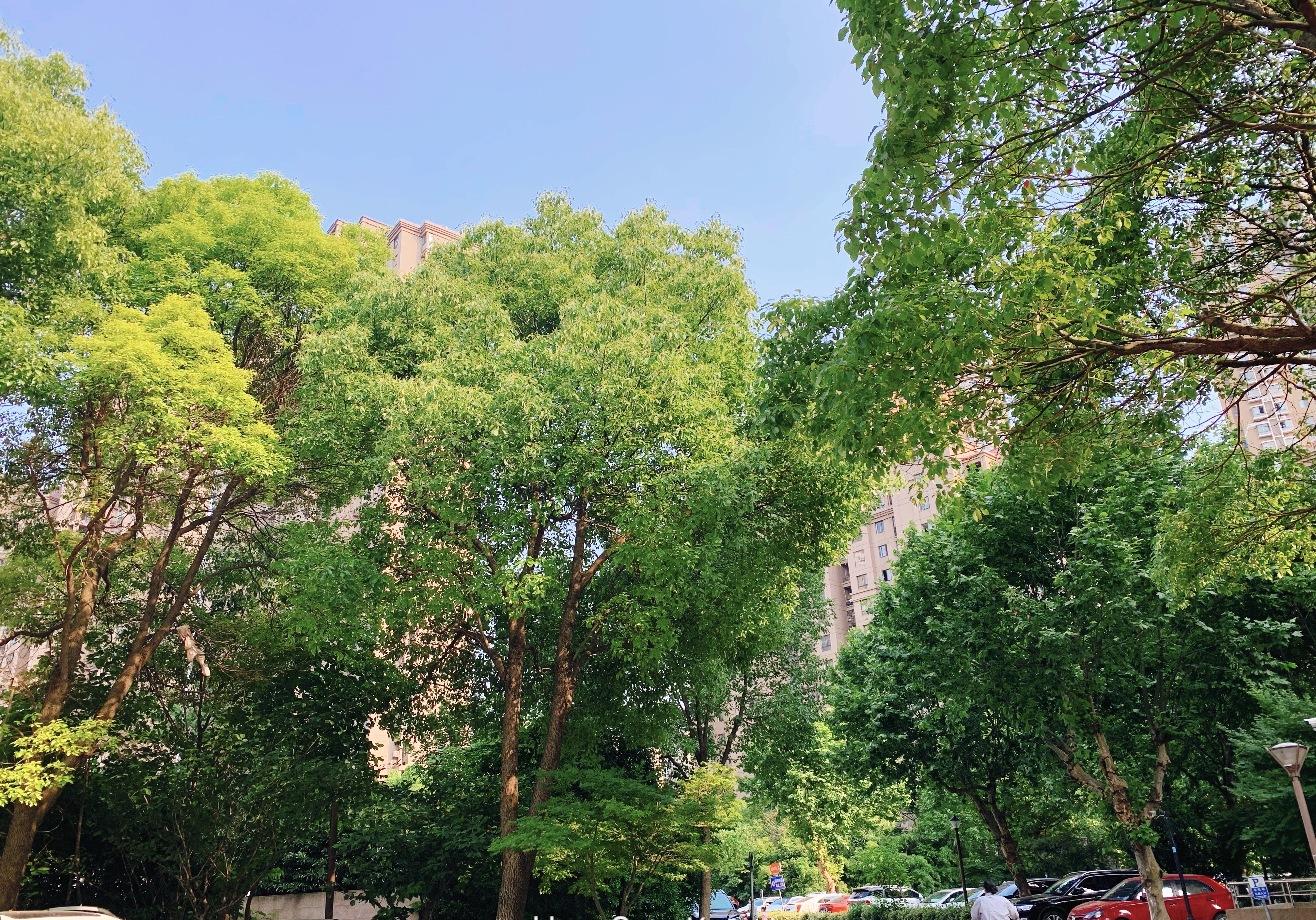 花桥2室二手房,花桥绿地启航社二手房价