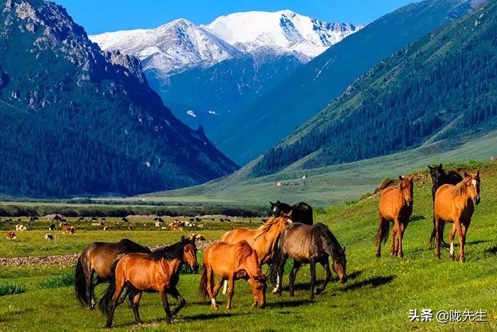 甘肃被忽略的景点,甘肃的自然风光