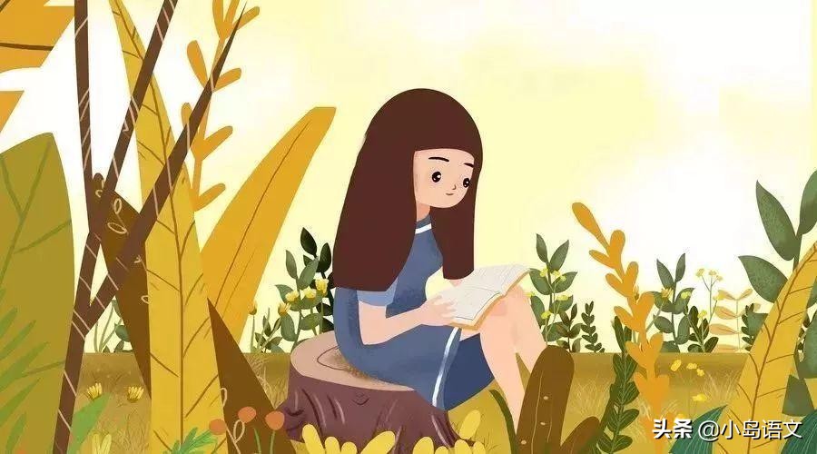 语文七年级上册期末考试阅读理解,小学语文阅读理解复习方法技巧