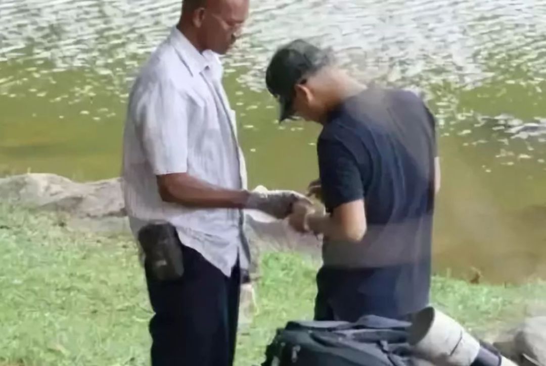 每个生命都值得被虐待,任何生命都不该被虐待