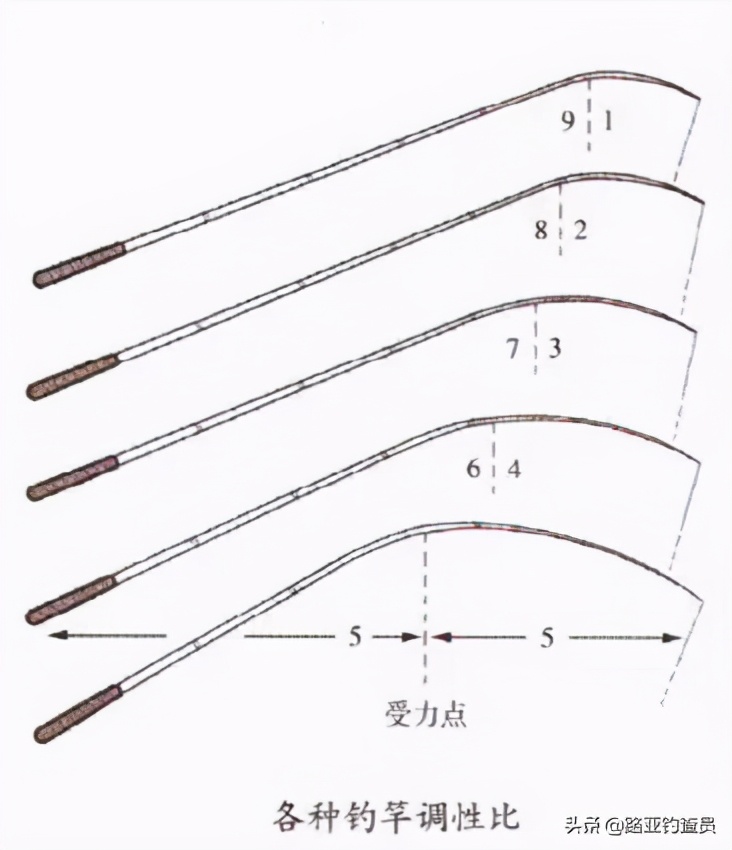 路亚竿选择看哪些指标,钓小白条如何选择路亚竿
