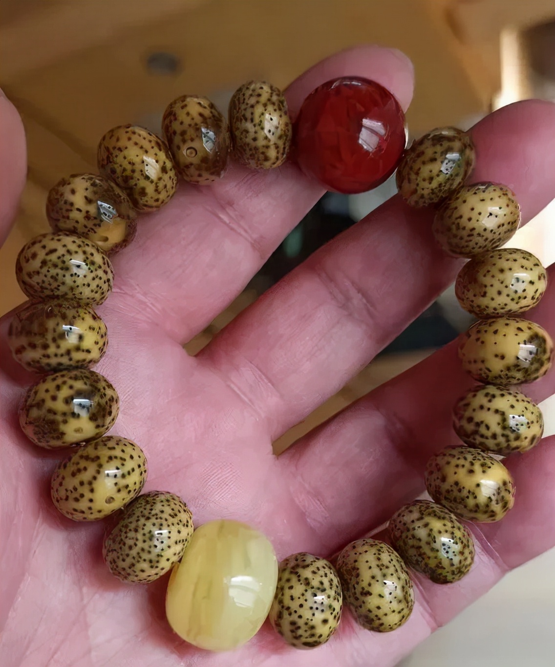 星月菩提阴皮是什么意思,星月菩提的阴皮怎么形成的