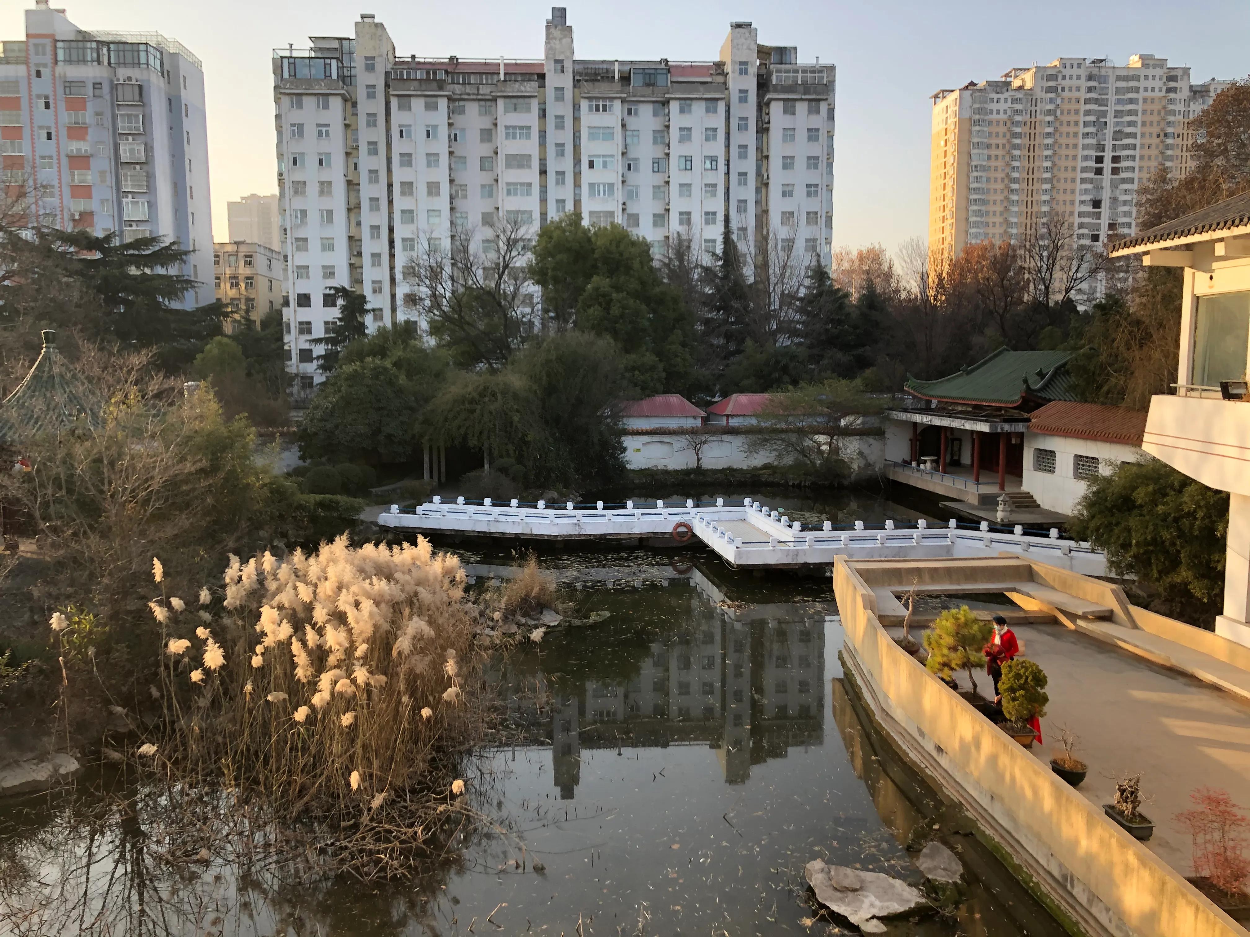 平顶山河滨公园旅游攻略,平顶山森林公园游记