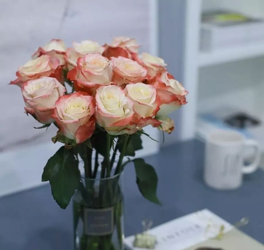 热销玫瑰,顶级进口玫瑰