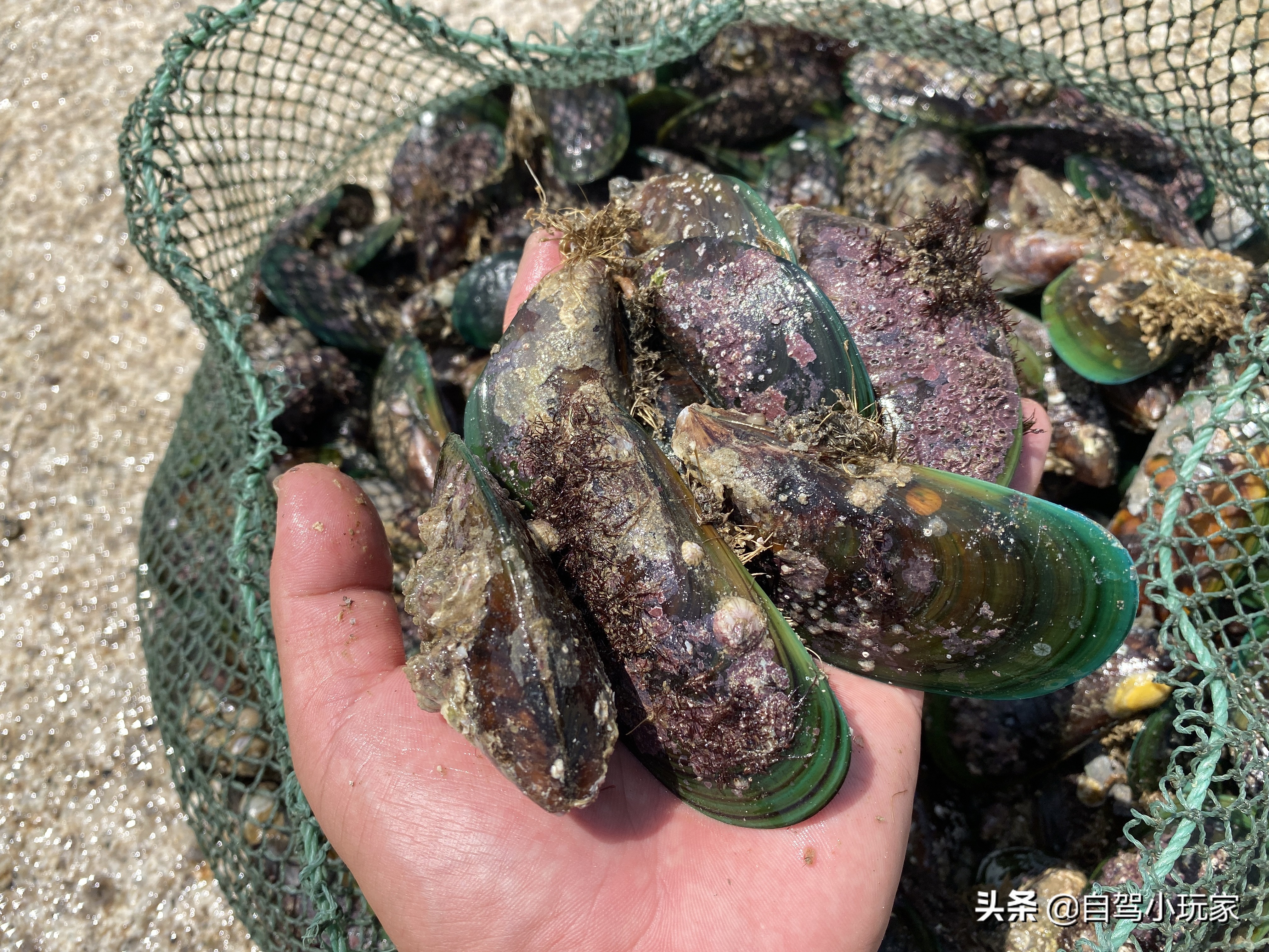 广州好玩的地方小众,广州小众景点排行榜