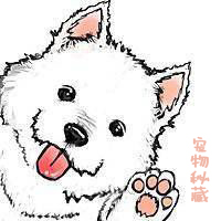 狗粮成分一般是什么,科普狗粮选择的四大误区