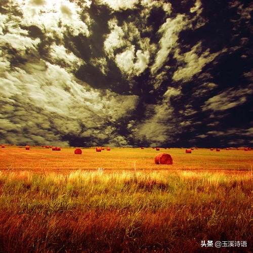 癌症博士于娟的感悟,此生未完成于娟为什么会得癌症