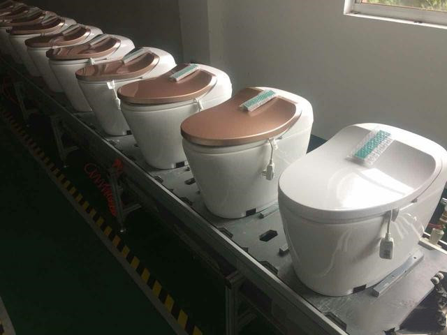 “过来人”告诉你,选择“智能马桶”应该注意哪些问题