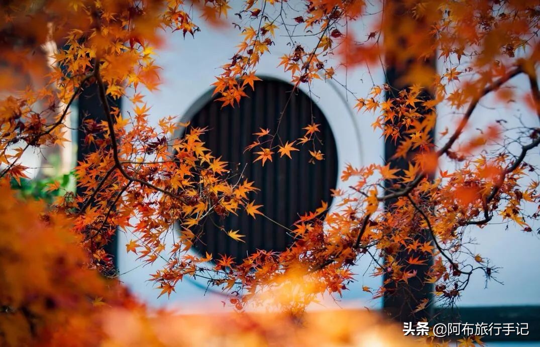 京都奈良神户详细攻略,大阪旅游是先去京都还是奈良