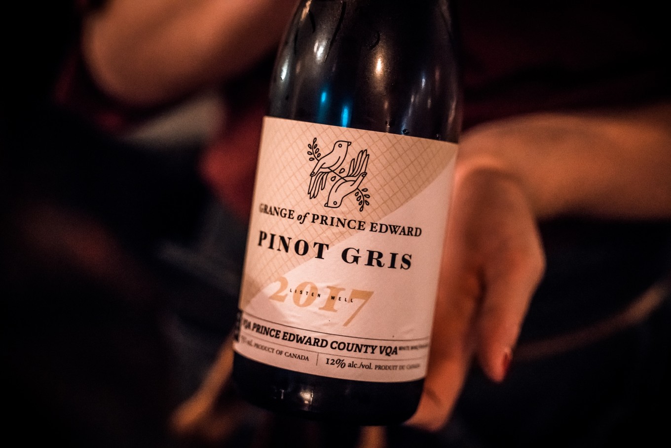 冬天多伦多旅游攻略,多伦多冬季旅游