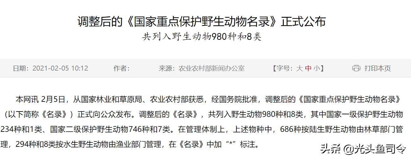 长江保护鱼类,有关长江鱼类资源保护