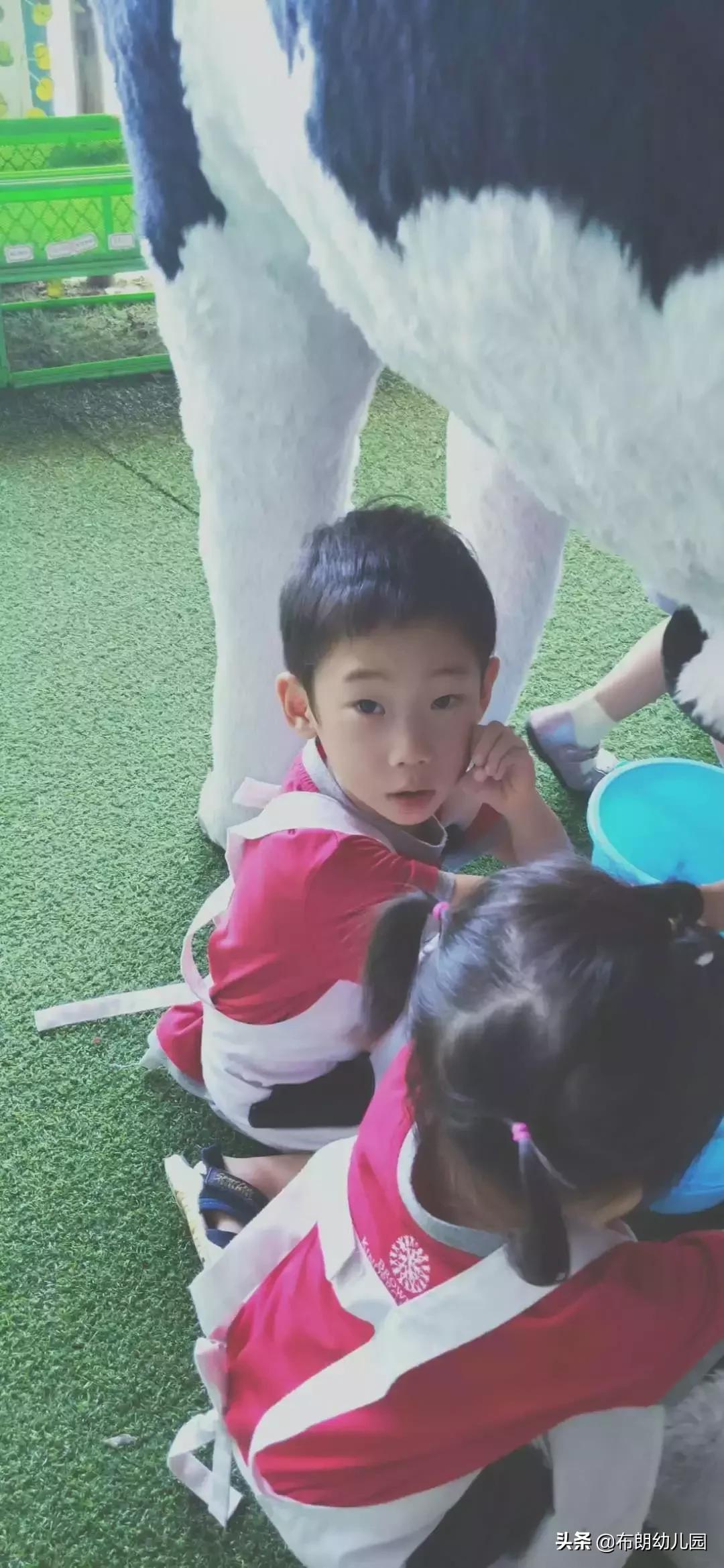 SailWithYourDranm（海口西溪里布朗幼儿园）