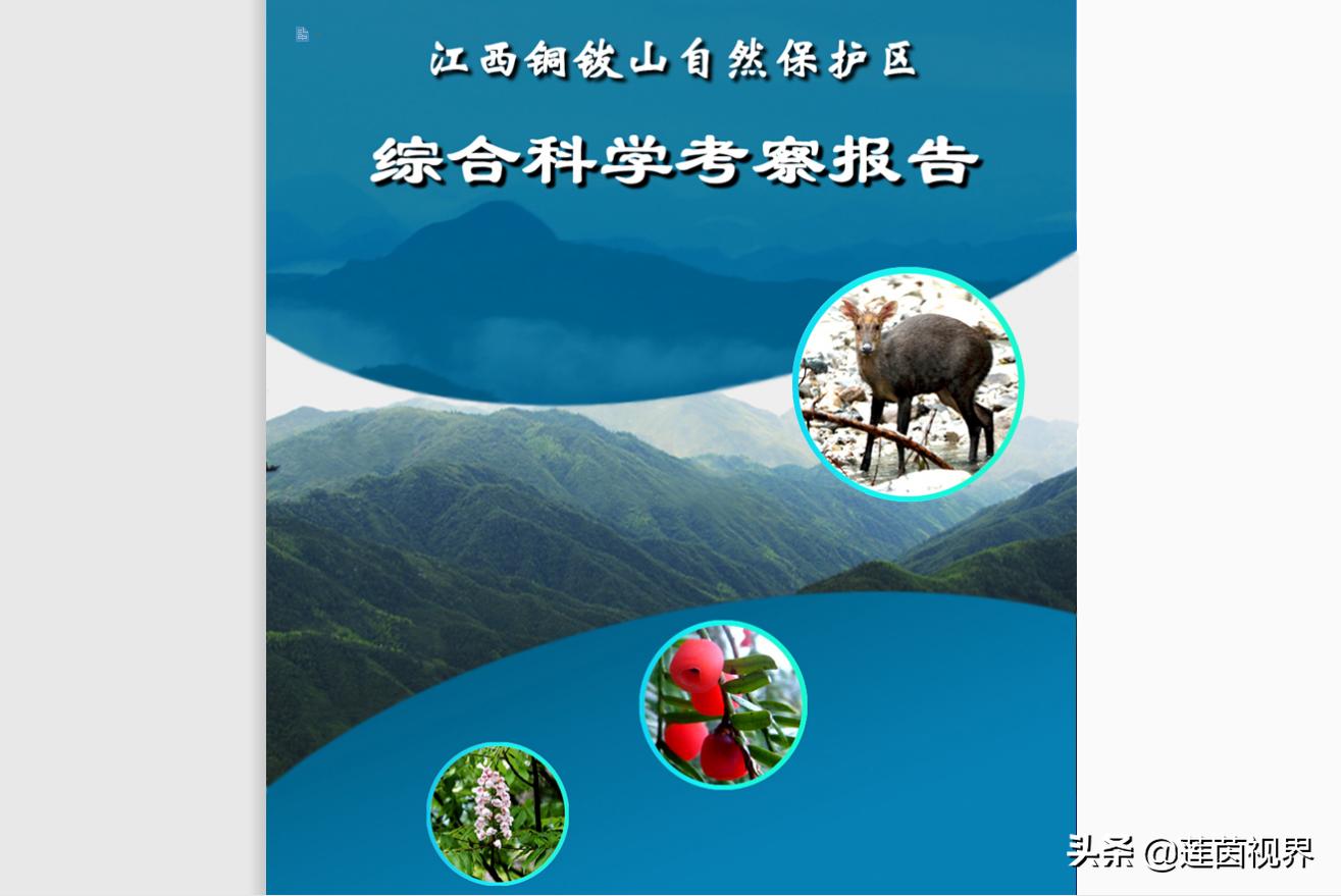 铜钹山夏天旅游哪里好玩,探险铜钹山原始森林