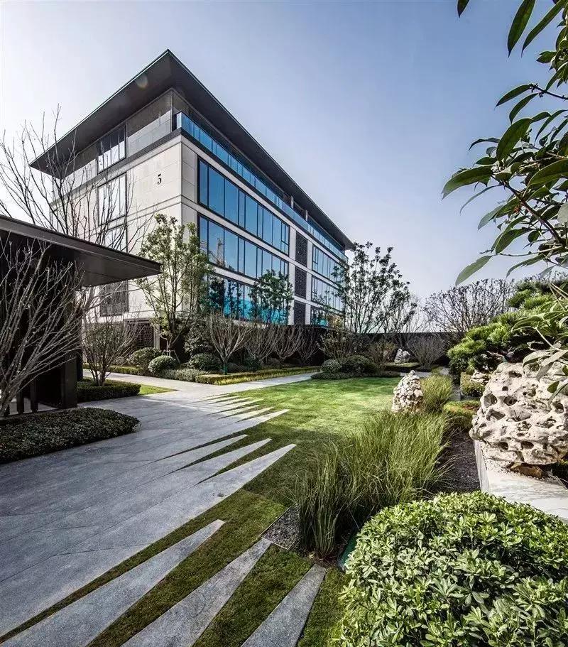 盘点郑州这些C位出道的热盘