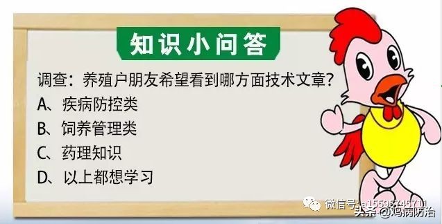 婴儿沙门氏菌怎么防治,小鸡沙门氏菌怎么防治