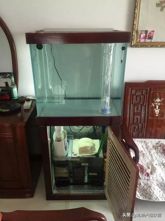 垃圾桶旁边的四方鱼缸,捡回去养了一缸金鱼,别说还挺不错